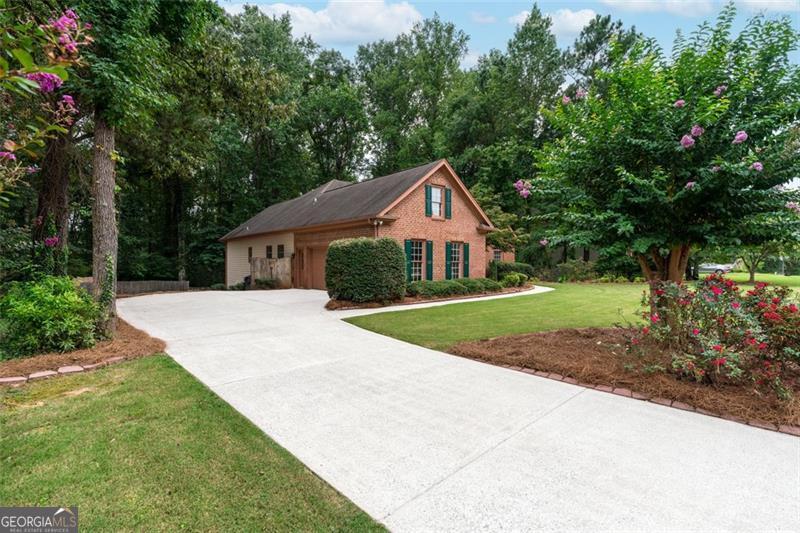 581 SWEETFERN