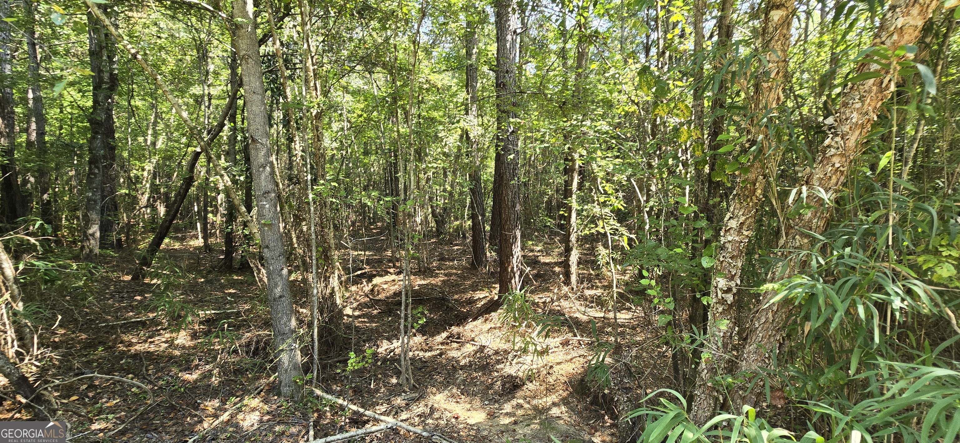 1119 Asbury Church RD