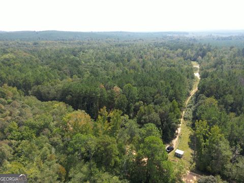 1119 Asbury Church RD Irwinton GA 31042