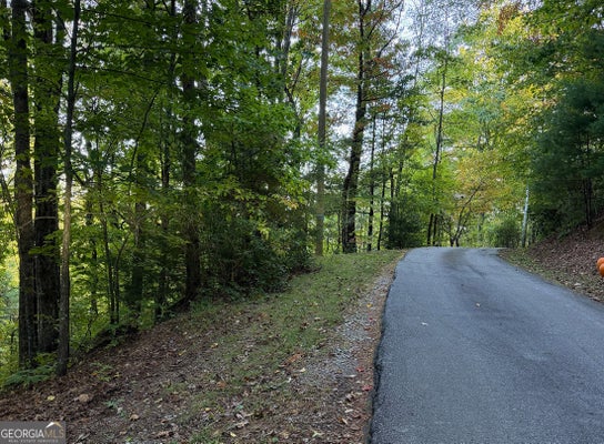0 ROUND TOP # 43 B, CLAYTON, GA 30525 - Image eb031383ac12ee1e8a7c701a9c04bb3e/1260536876