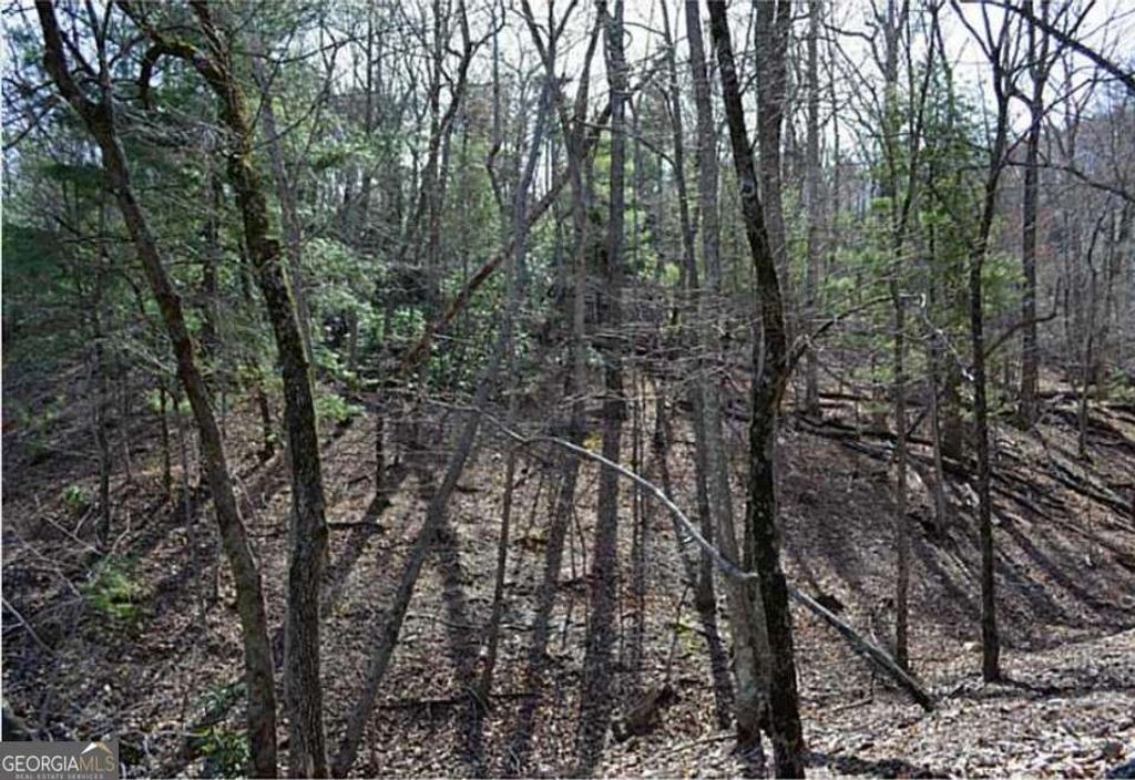 Photo of 2569 Wilderness Parkway, Jasper, GA 30143 (MLS # 10692224)