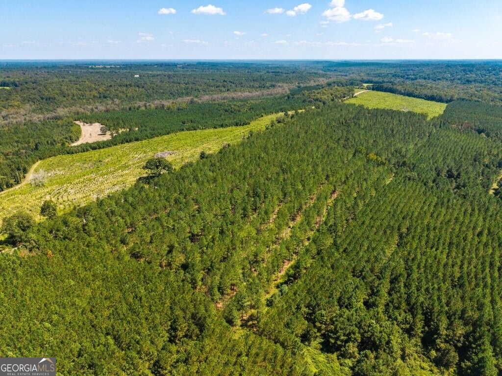 Photo of 2 W State Route 90 Road #CEDAR CREEK FARM, Ideal, GA 31041 (MLS # 10876595)