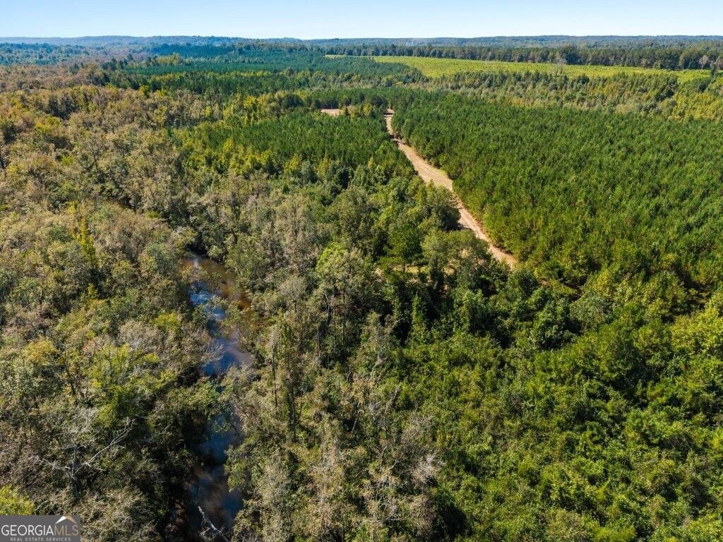 Photo of 2 W State Route 90 Road #CEDAR CREEK FARM, Ideal, GA 31041 (MLS # 10876595)