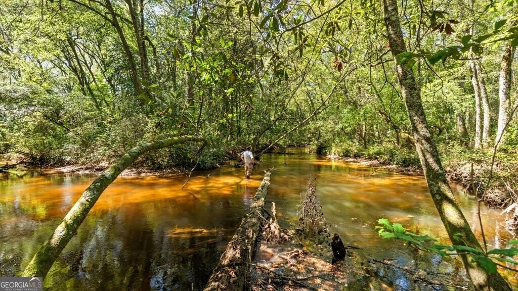 Photo of 2 W State Route 90 Road #CEDAR CREEK FARM, Ideal, GA 31041 (MLS # 10876595)
