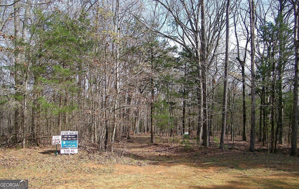 Photo of 25 Benjamin Brown Court, Elberton, GA 30665 (MLS # 10854167)