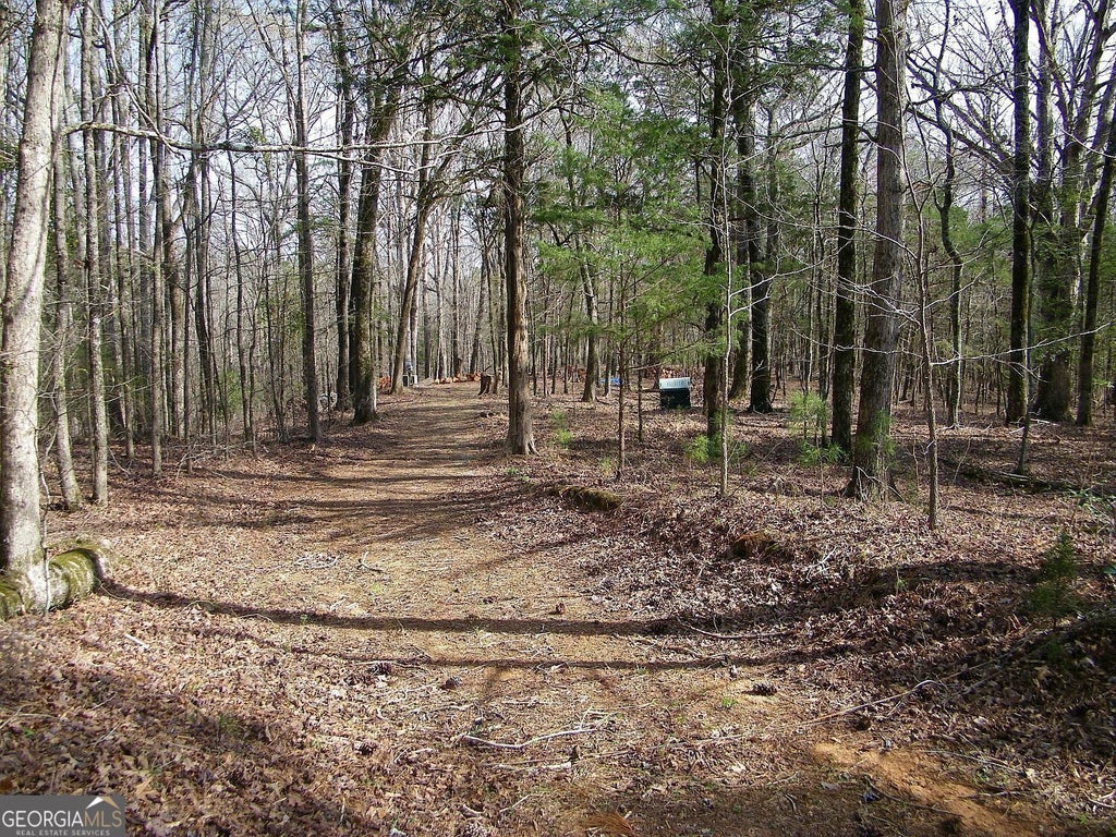 Photo of 25 Benjamin Brown Court, Elberton, GA 30665 (MLS # 10854167)