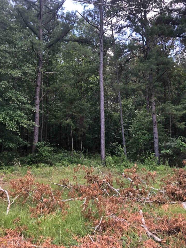 Wooded 1 acre lot with Lake Sinclair views. Would make a perfect home location. 2 lots beside are also available as well as lake lot across the street.