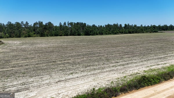 RED BIRD RD, LUMBER CITY, GA 31549 - Image eb4158d9f3f8f4c679683d12e7d21f09/980267912