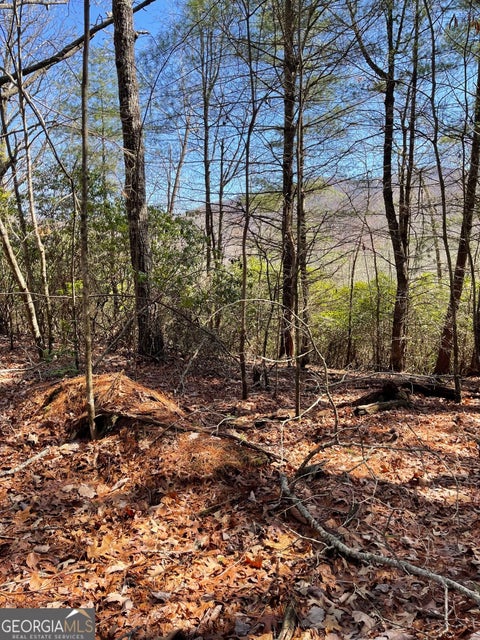 Photo of 0 Chesada Lane, Blairsville, GA 30512 (MLS # 10836476)