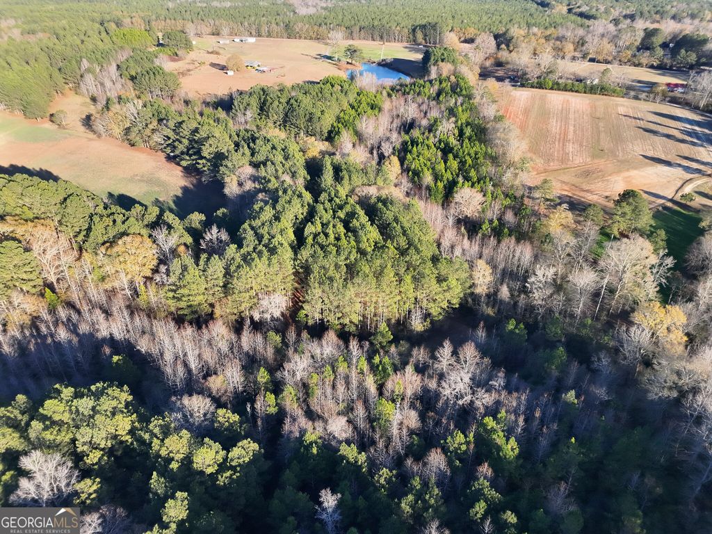 Photo of 8365 Mt Carmel Rd, Senoia, GA 30276 (MLS # 10729111)