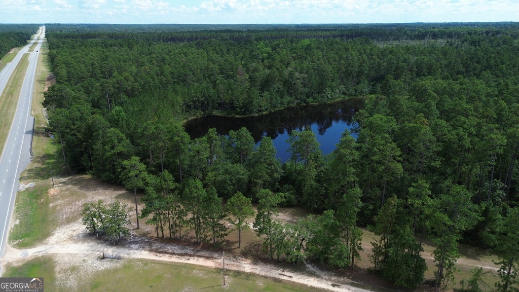 Photo of 1 Hwy 25, Portal, GA 30450 (MLS # 10811517)