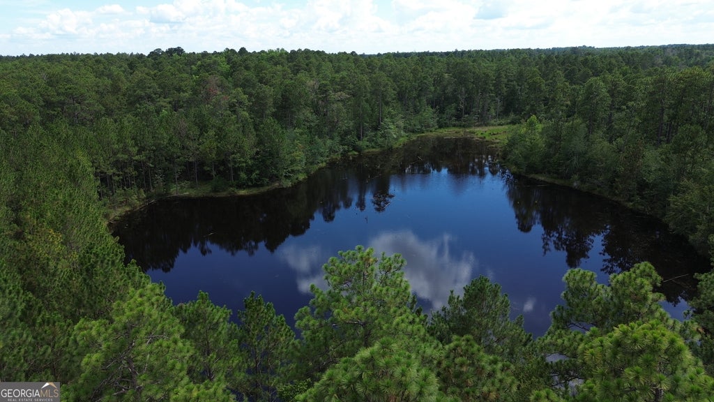 Photo of 1 Hwy 25, Portal, GA 30450 (MLS # 10811517)