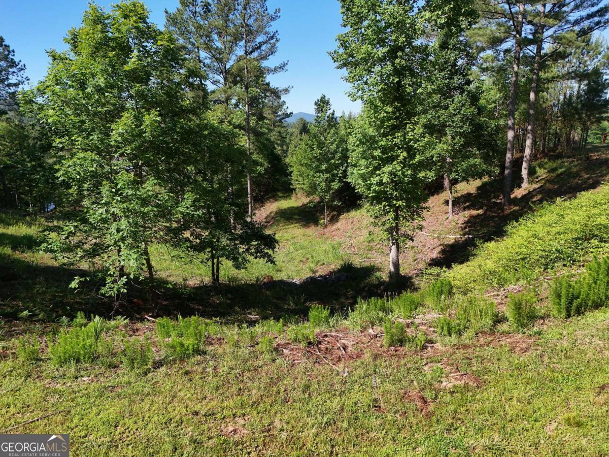 LOT 2 Big Knoll DR 2