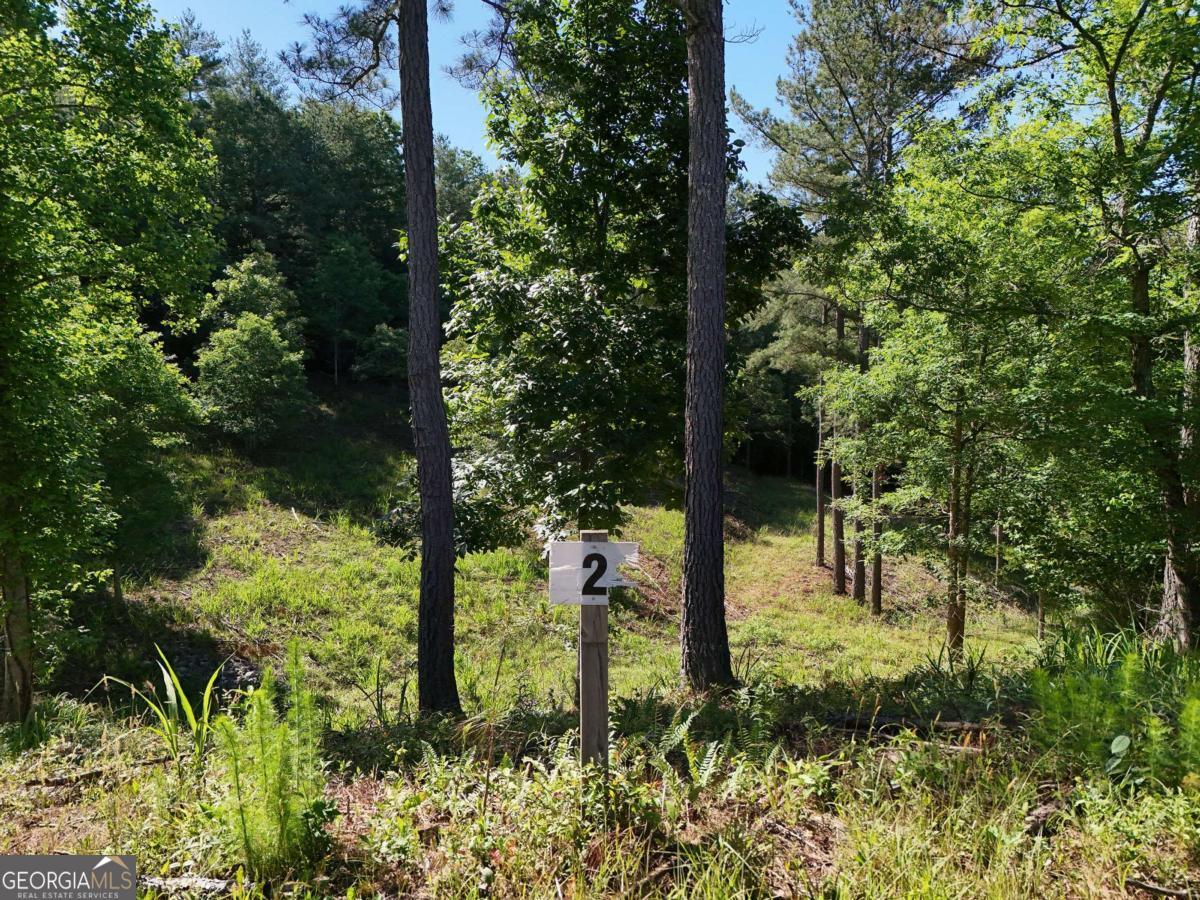 LOT 2 Big Knoll DR 2