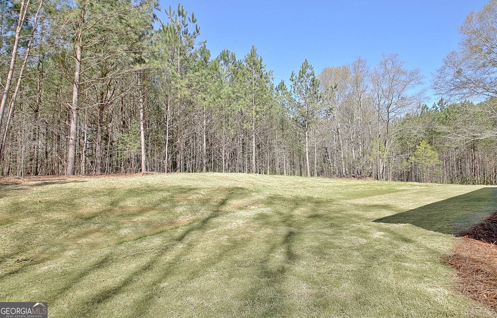 listing image 70