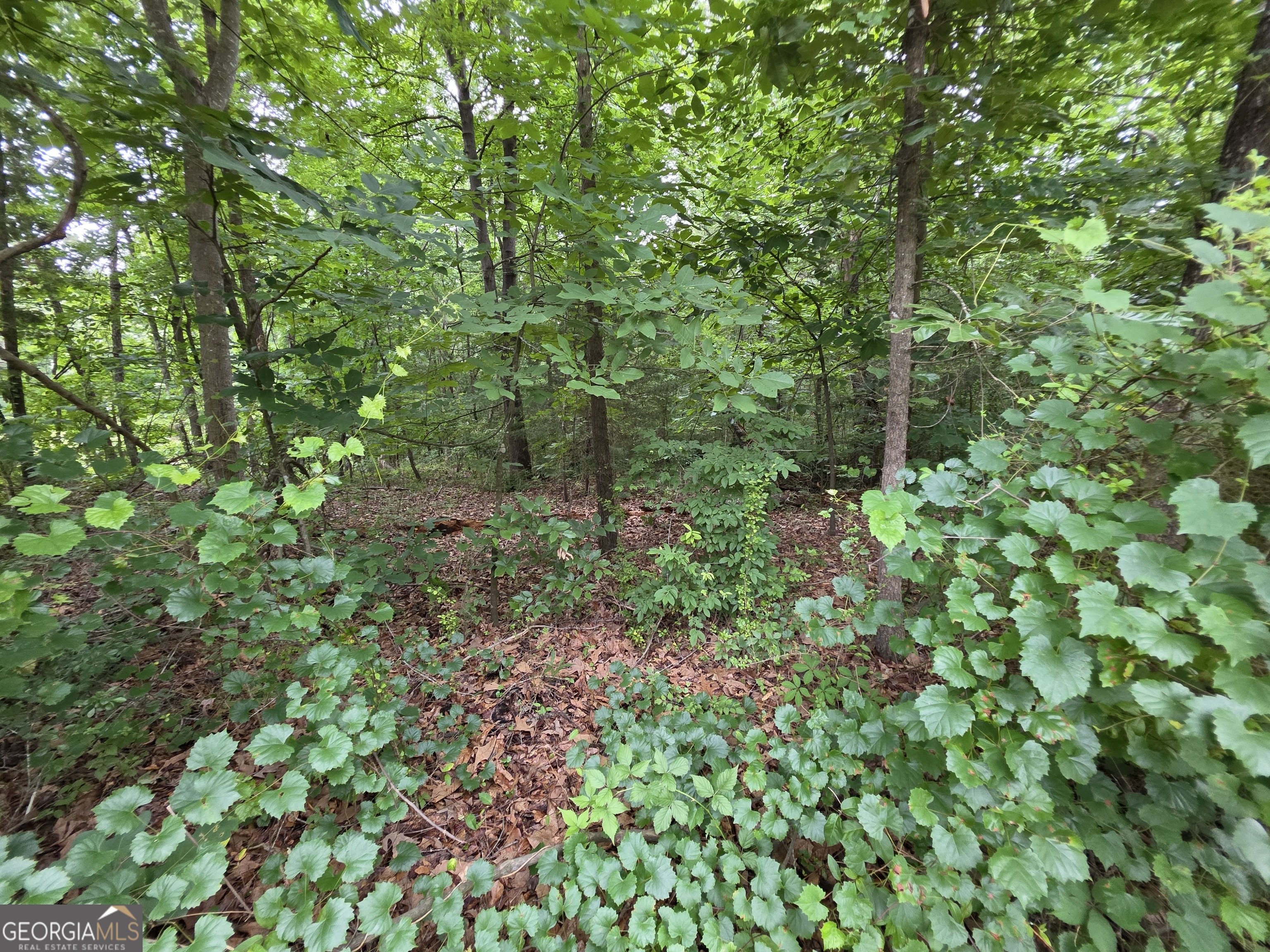 LOT 15 Harbor Heights CIR