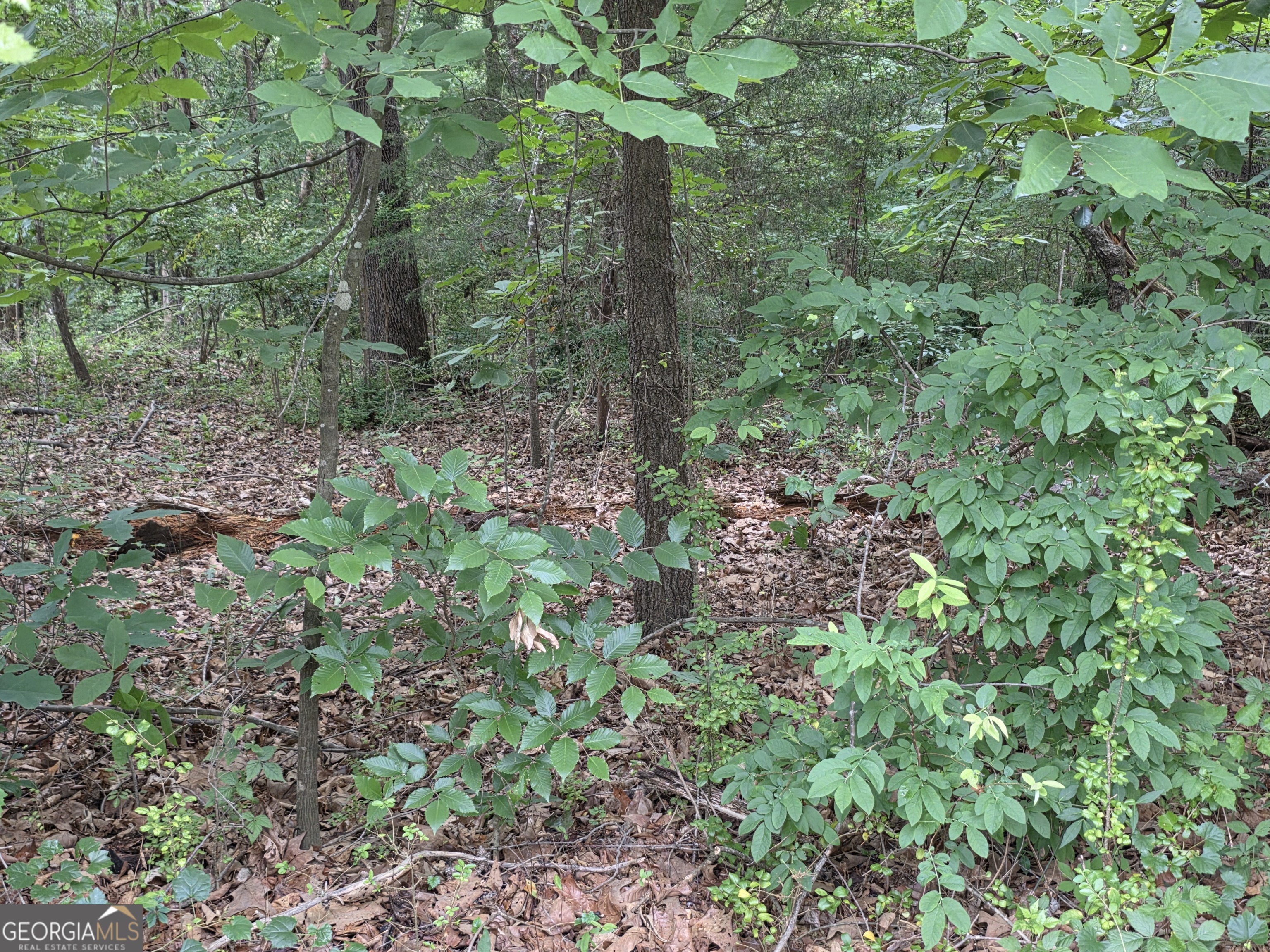 LOT 15 Harbor Heights CIR