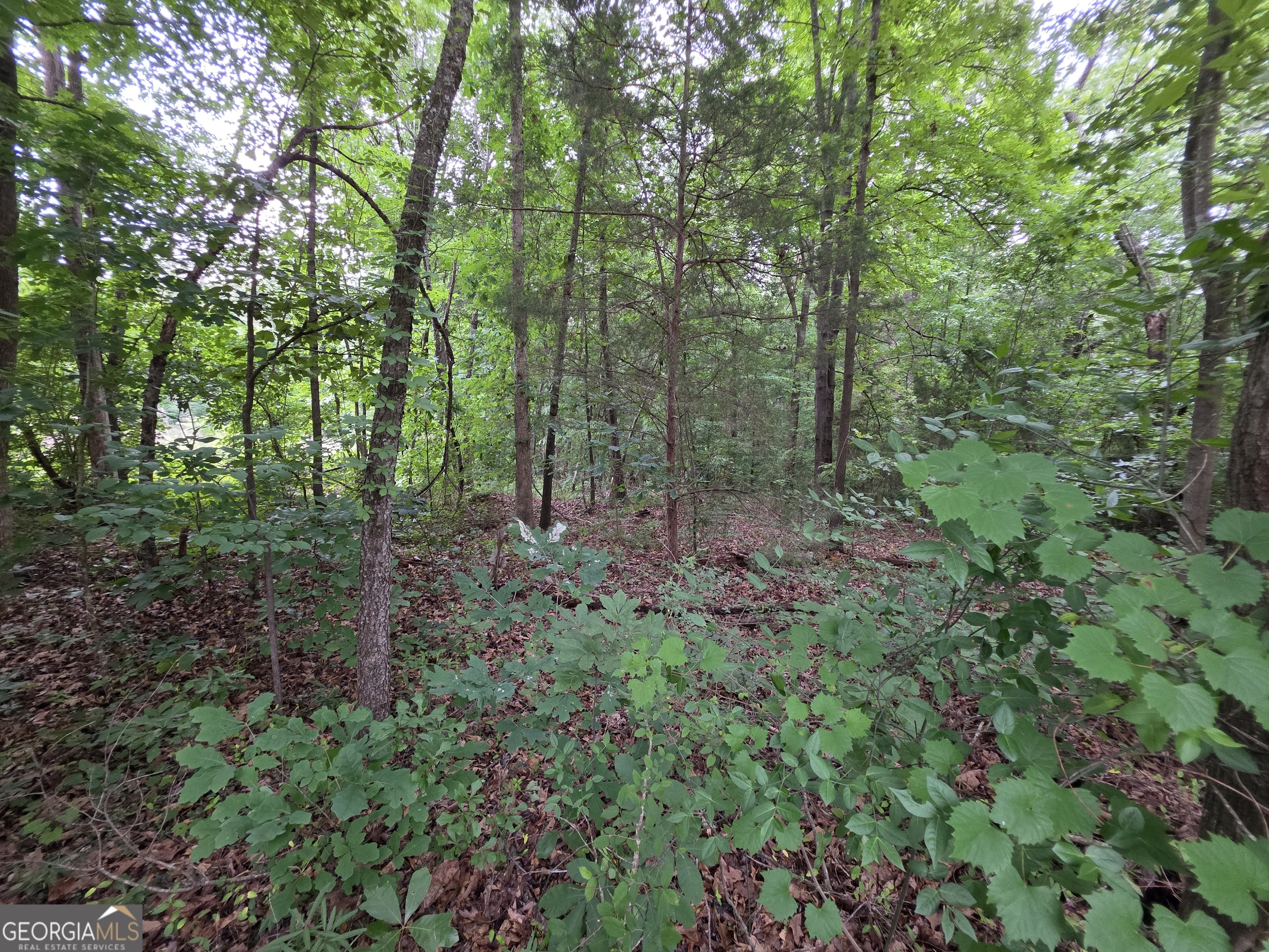 LOT 15 Harbor Heights CIR