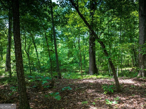 Tiny photo for 0 Dublin Circle, Kingston, GA 30145 (MLS # 10815507)