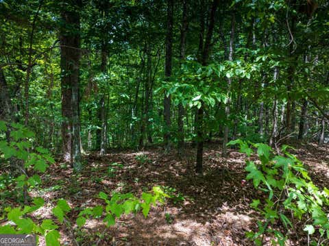 Tiny photo for 0 Dublin Circle, Kingston, GA 30145 (MLS # 10815507)