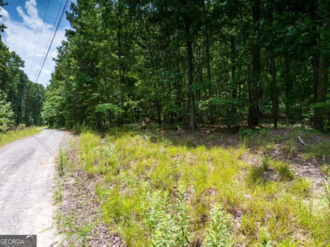 Tiny photo for 0 Dublin Circle, Kingston, GA 30145 (MLS # 10815507)