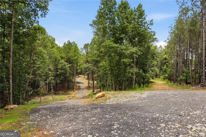 LOT 3 Pete PATH