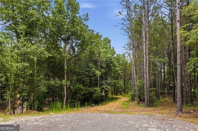 LOT 3 Pete PATH