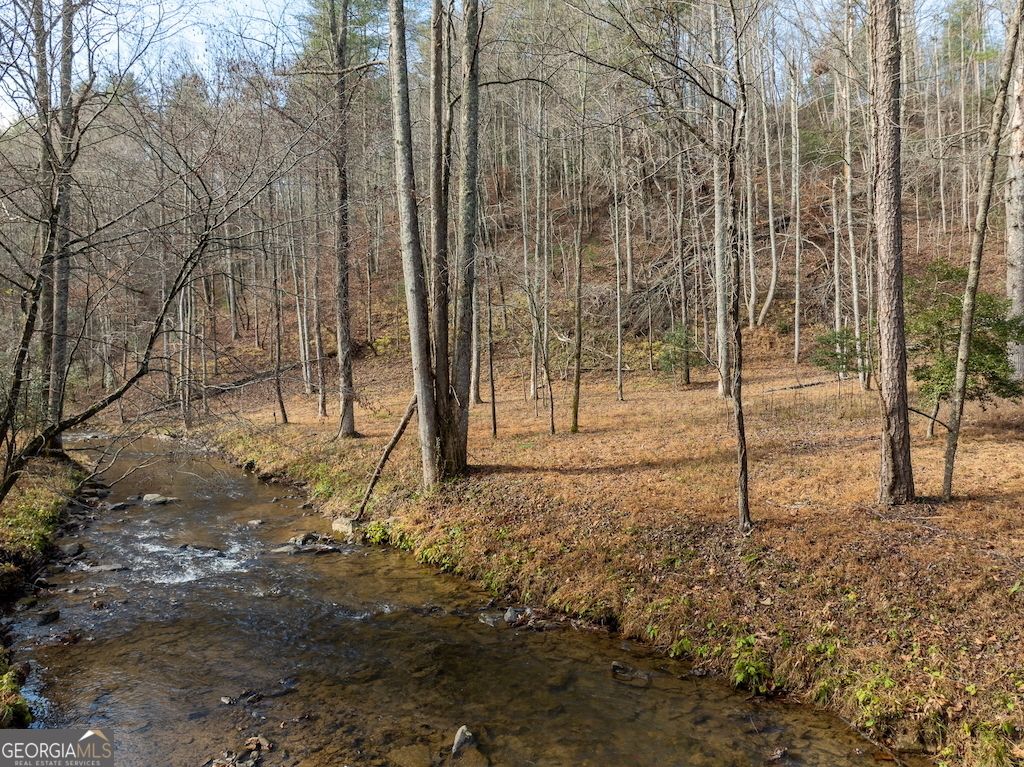 Photo of 780 Banks Road, Ellijay, GA 30540 (MLS # 10657572)