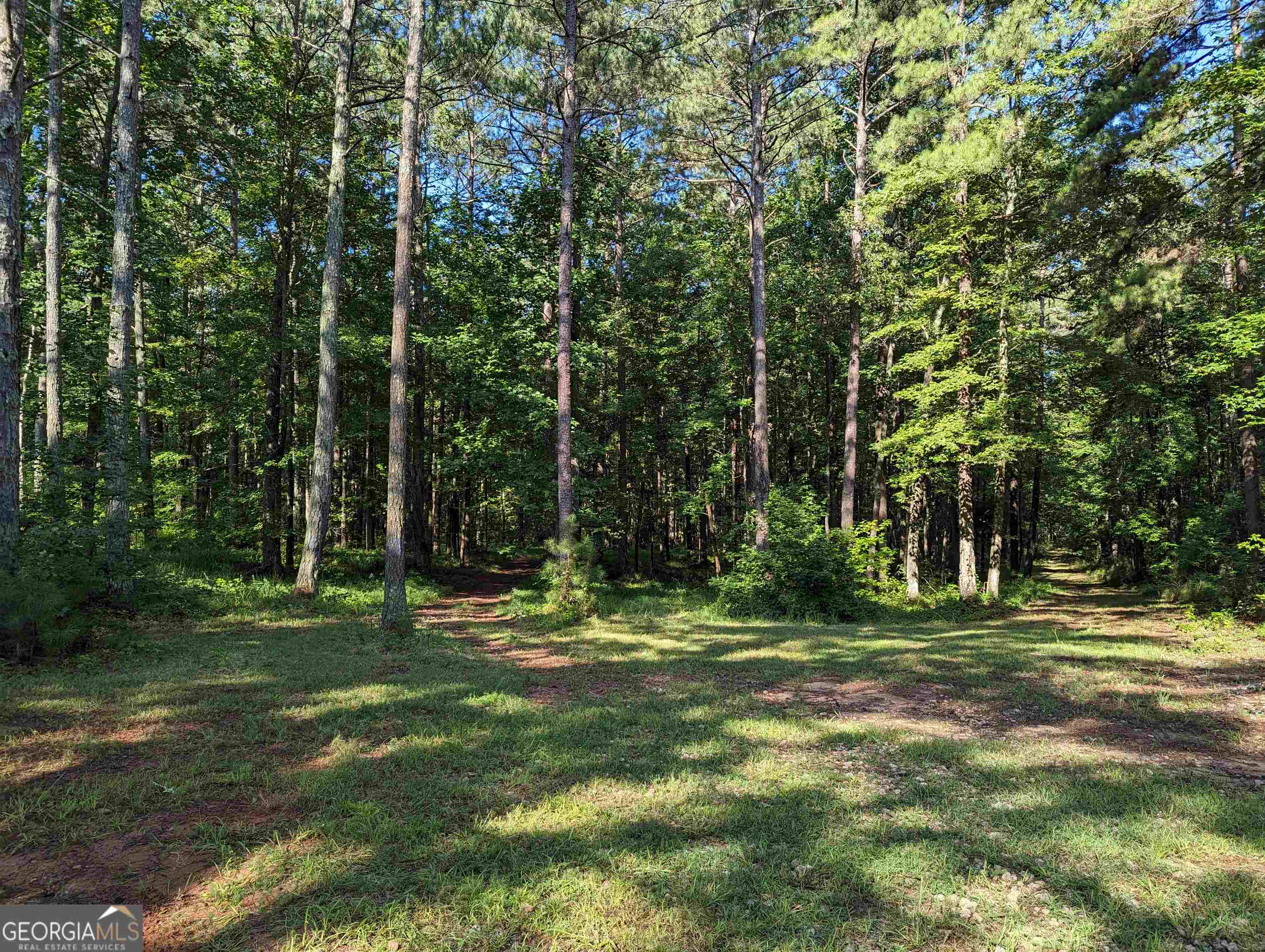 LOT 3 Joe Roberts RD