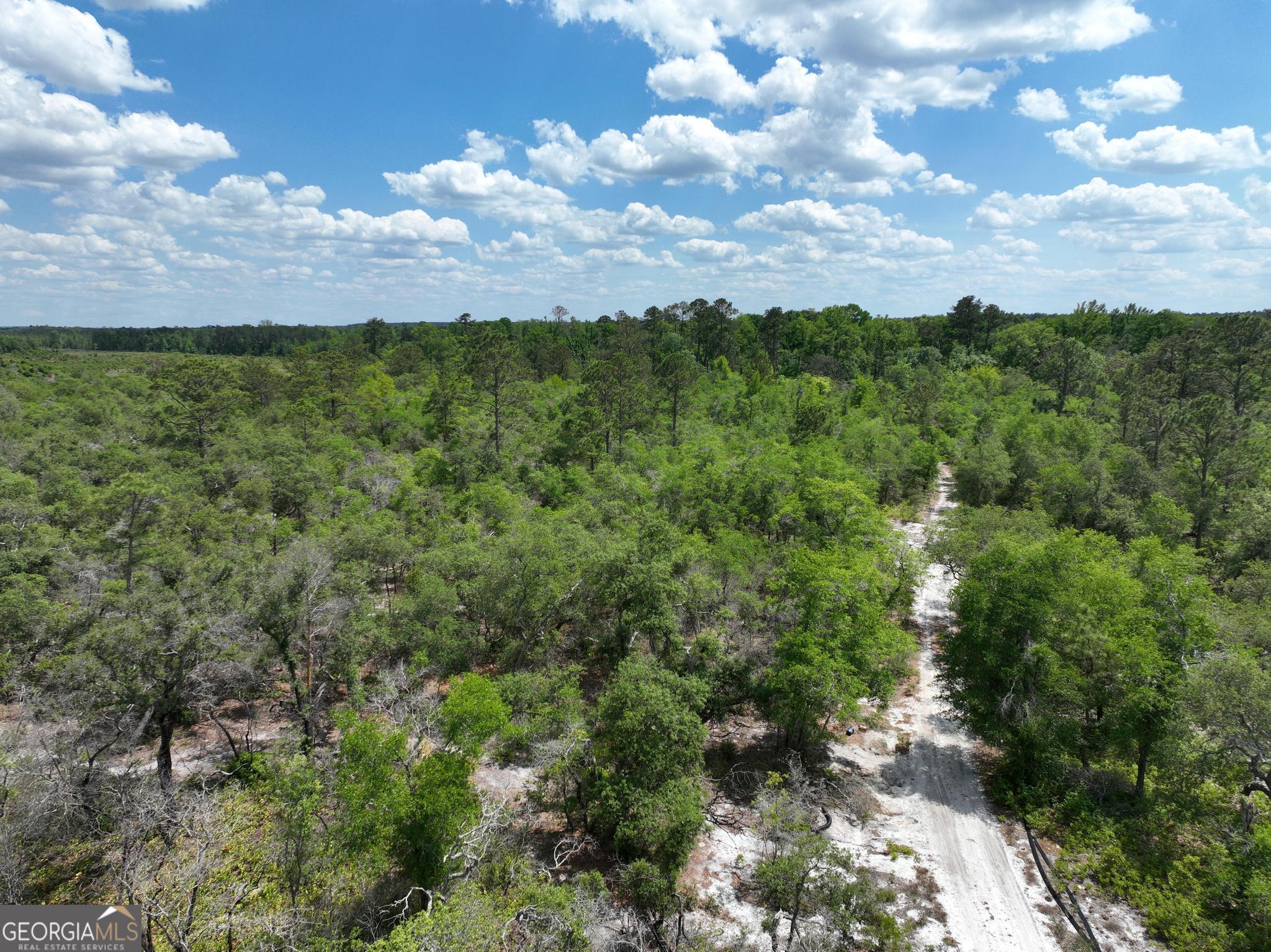 8 Old Highway 46   (24.84 ac)