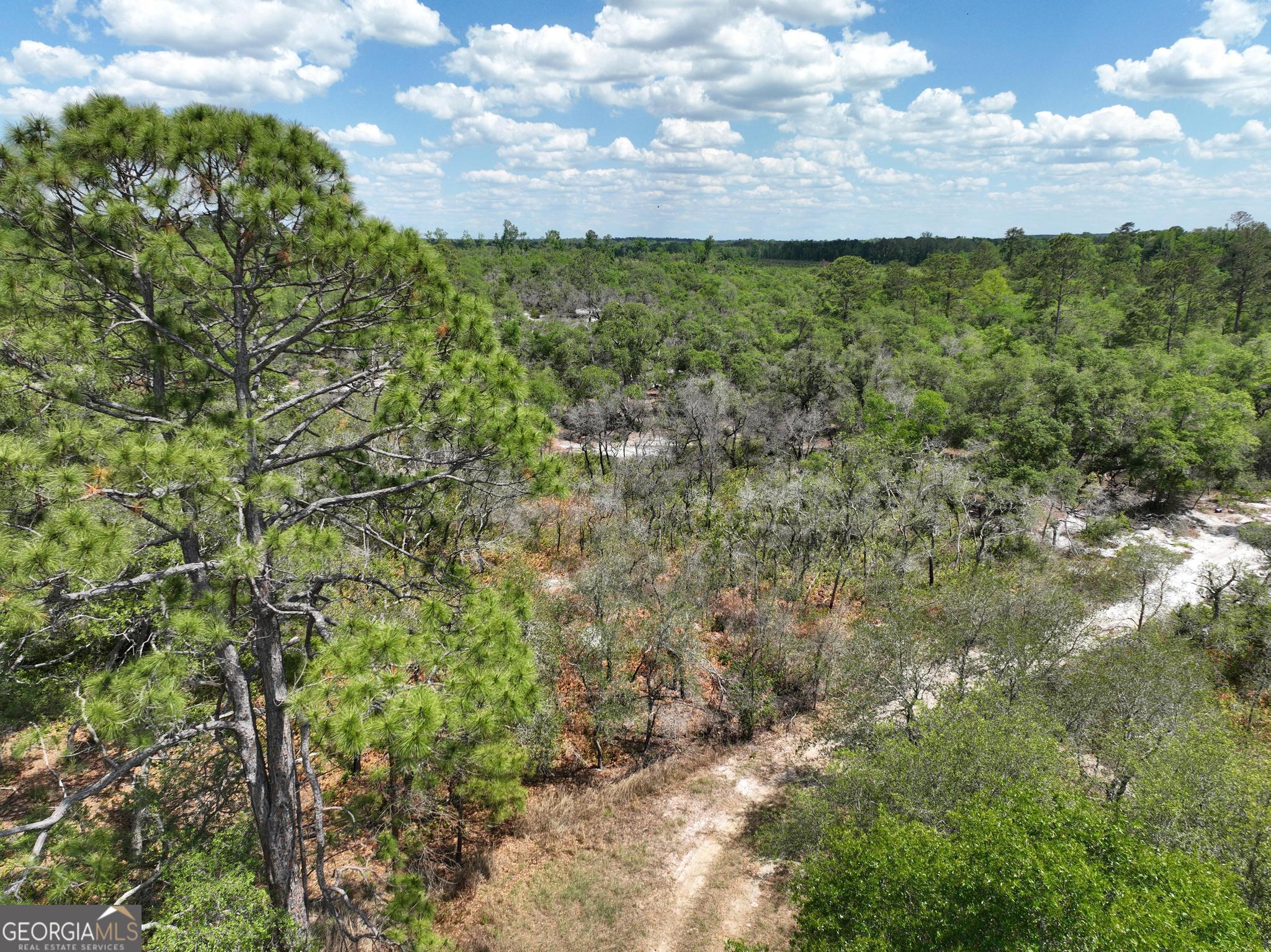 8 Old Highway 46   (24.84 ac)