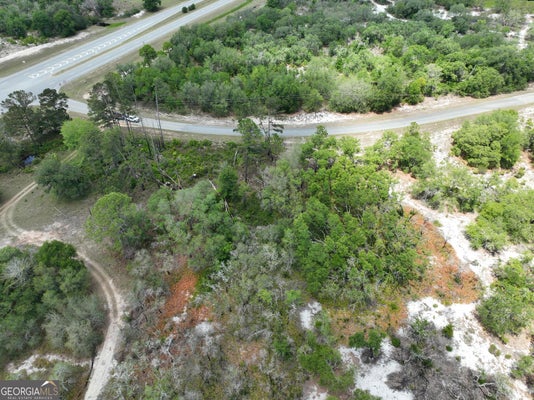 8 OLD HIGHWAY 46, TWIN CITY, GA 30471 - Image ebe2a3f1f3ad5e854d990c33fd954a3c/3413697696