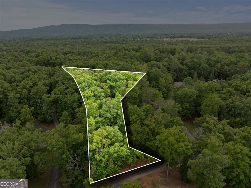 Photo of 396 Russell Hill Estates Drive, Sugar Valley, GA 30746 (MLS # 10767573)