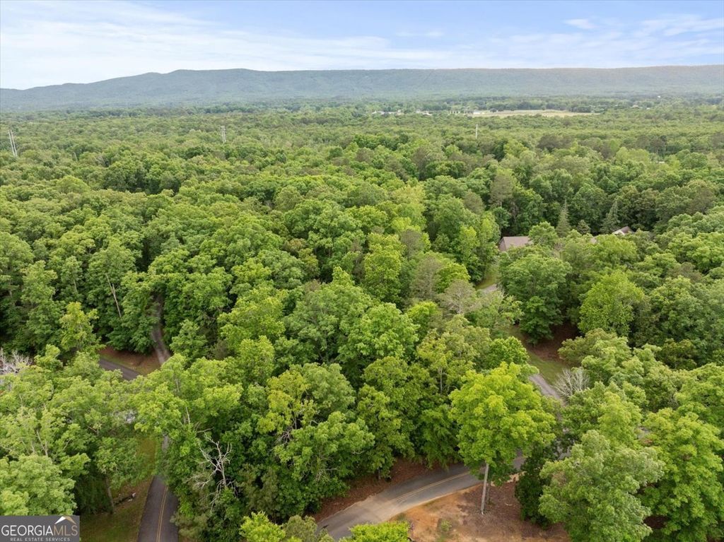 Photo of 396 Russell Hill Estates Drive, Sugar Valley, GA 30746 (MLS # 10767573)