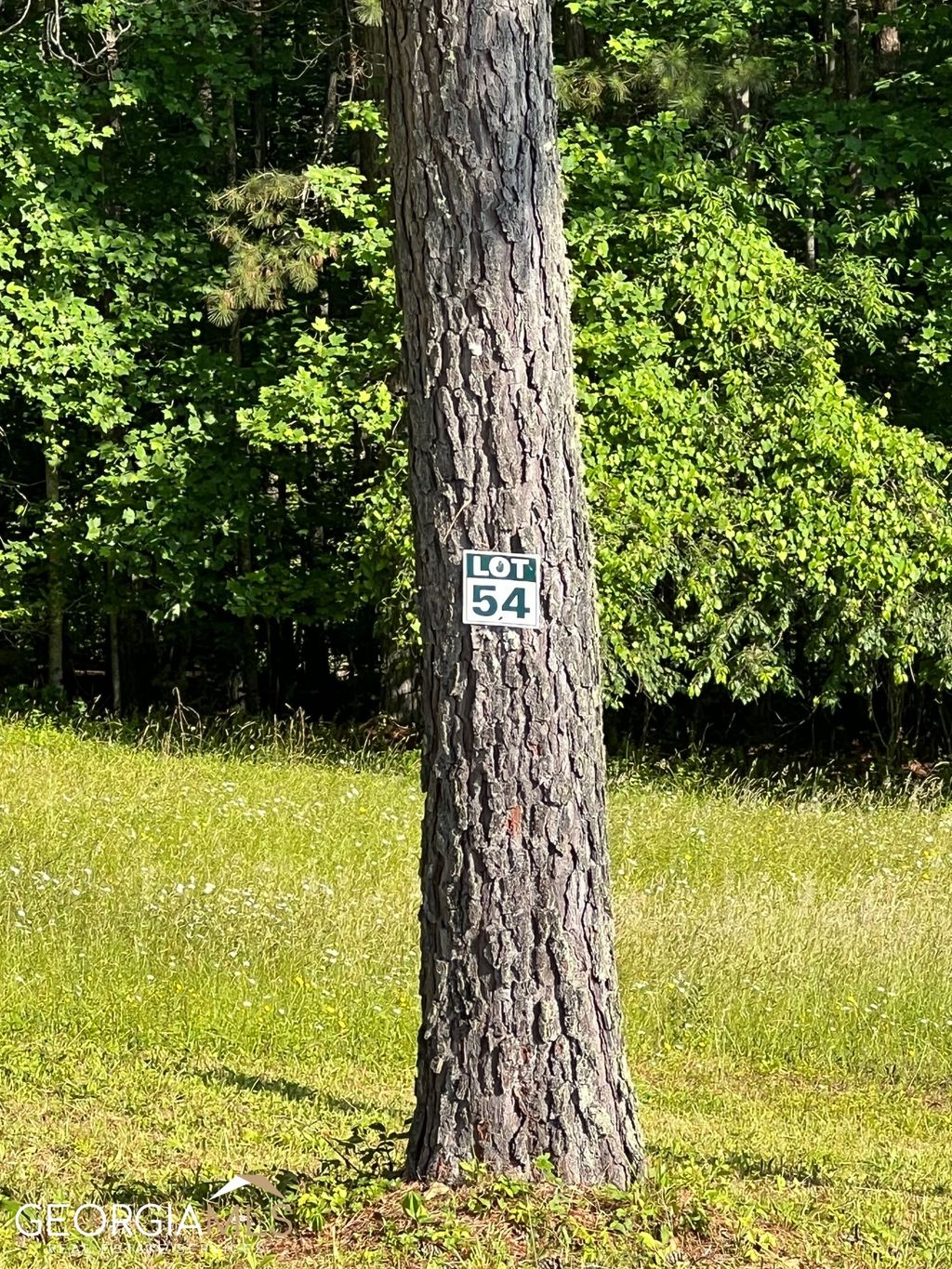 Photo of 54 Pinehurst Road, Blairsville, GA 30512 (MLS # 10709160)