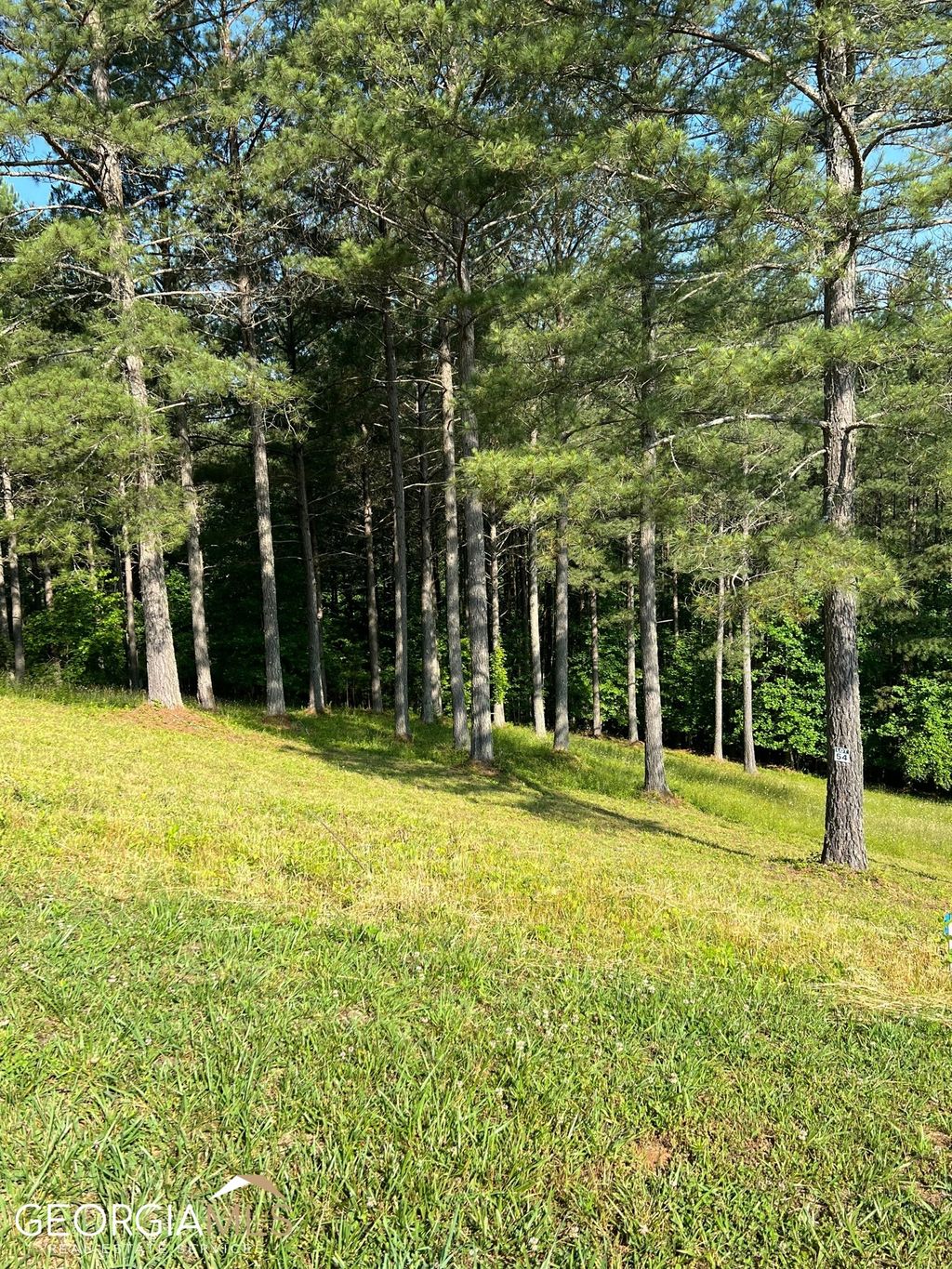 Photo of 54 Pinehurst Road, Blairsville, GA 30512 (MLS # 10709160)