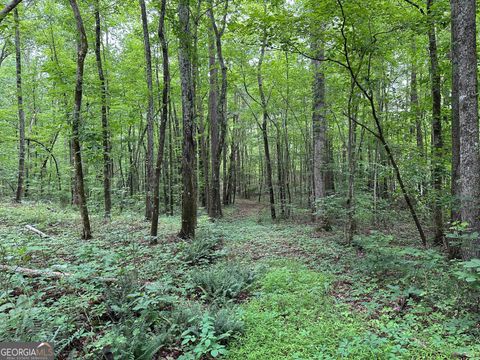 Photo of 0 Brewsterfield Road, Cedartown, GA 30125 (MLS # 10623054)
