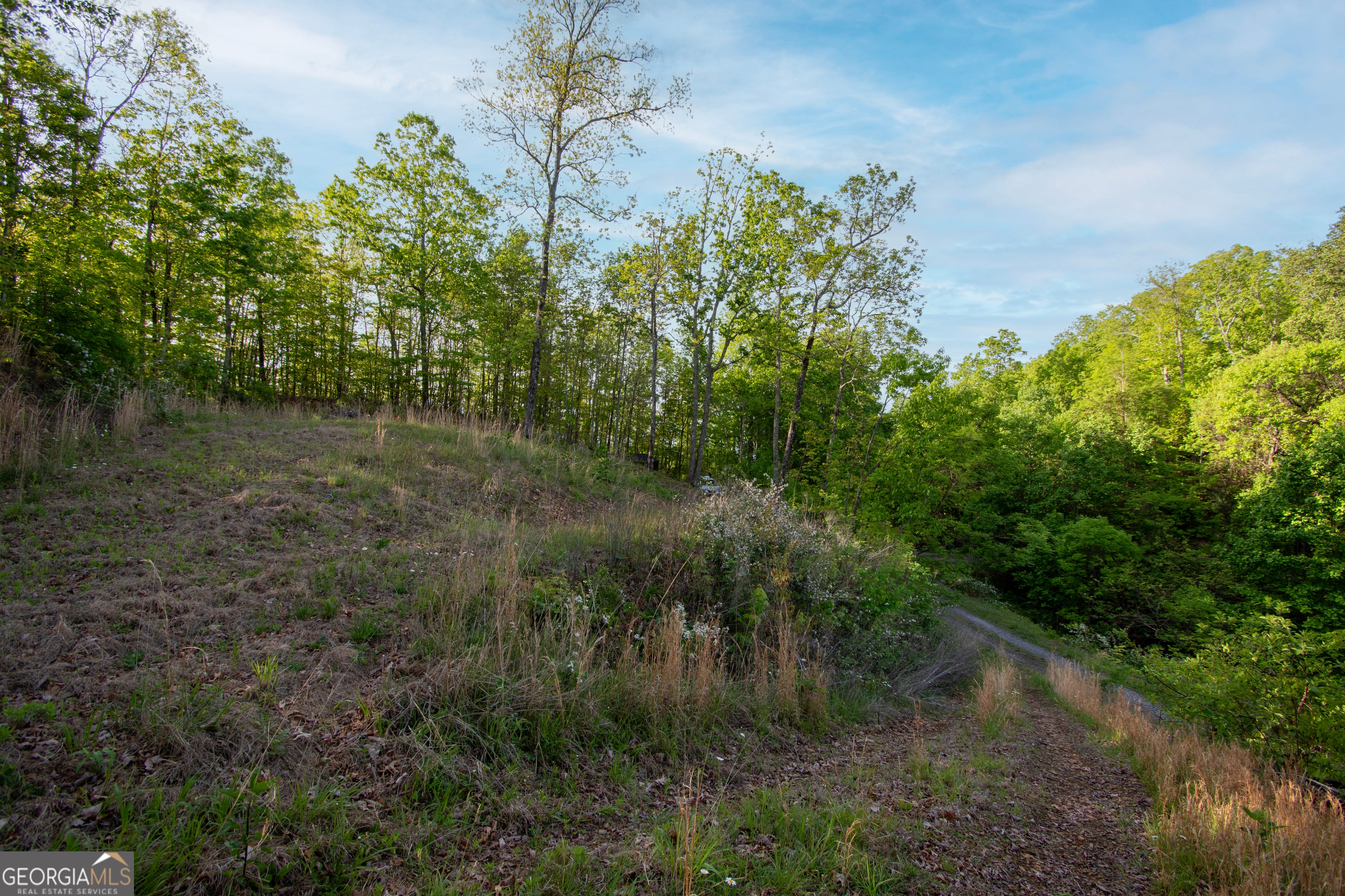 43/44 Timberwood Mountain Estates