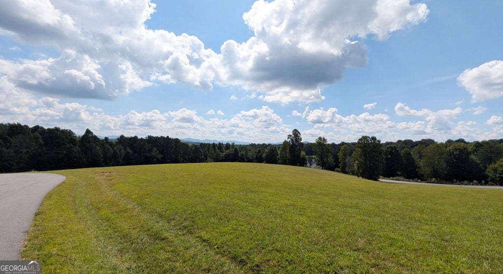 Photo of 22 Bonney Ridge Road, Blairsville, GA 30512 (MLS # 10845293)