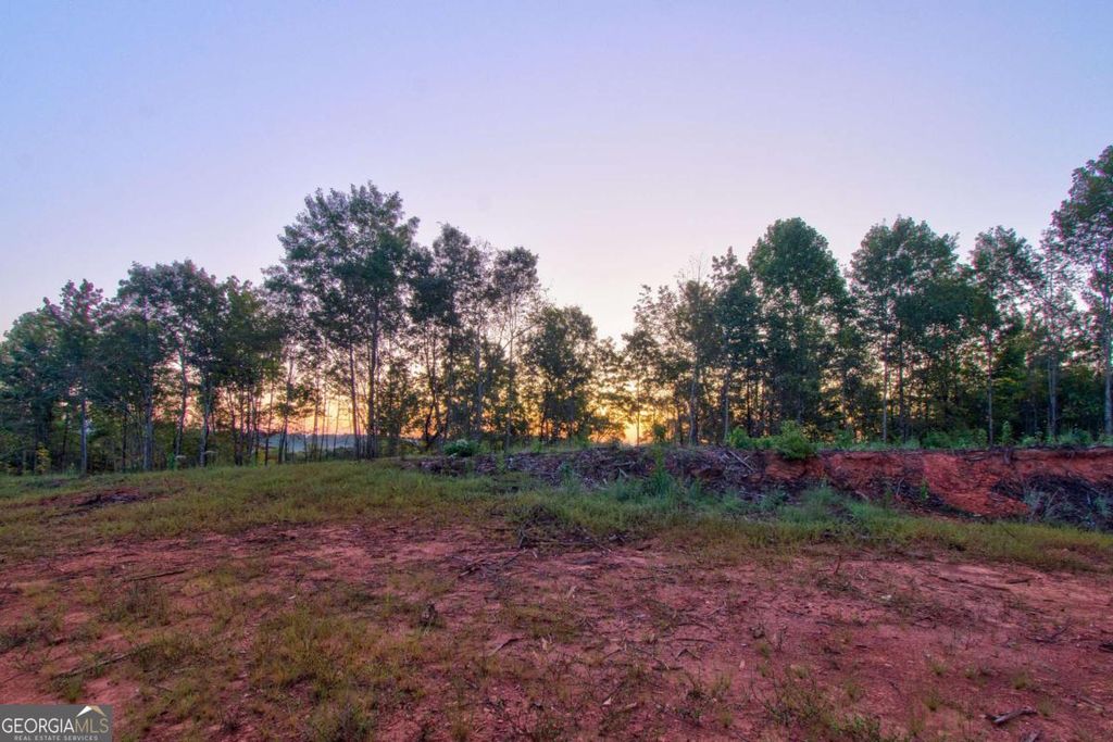 Photo of 67 Grateful View Drive, Dahlonega, GA 30533 (MLS # 10774103)