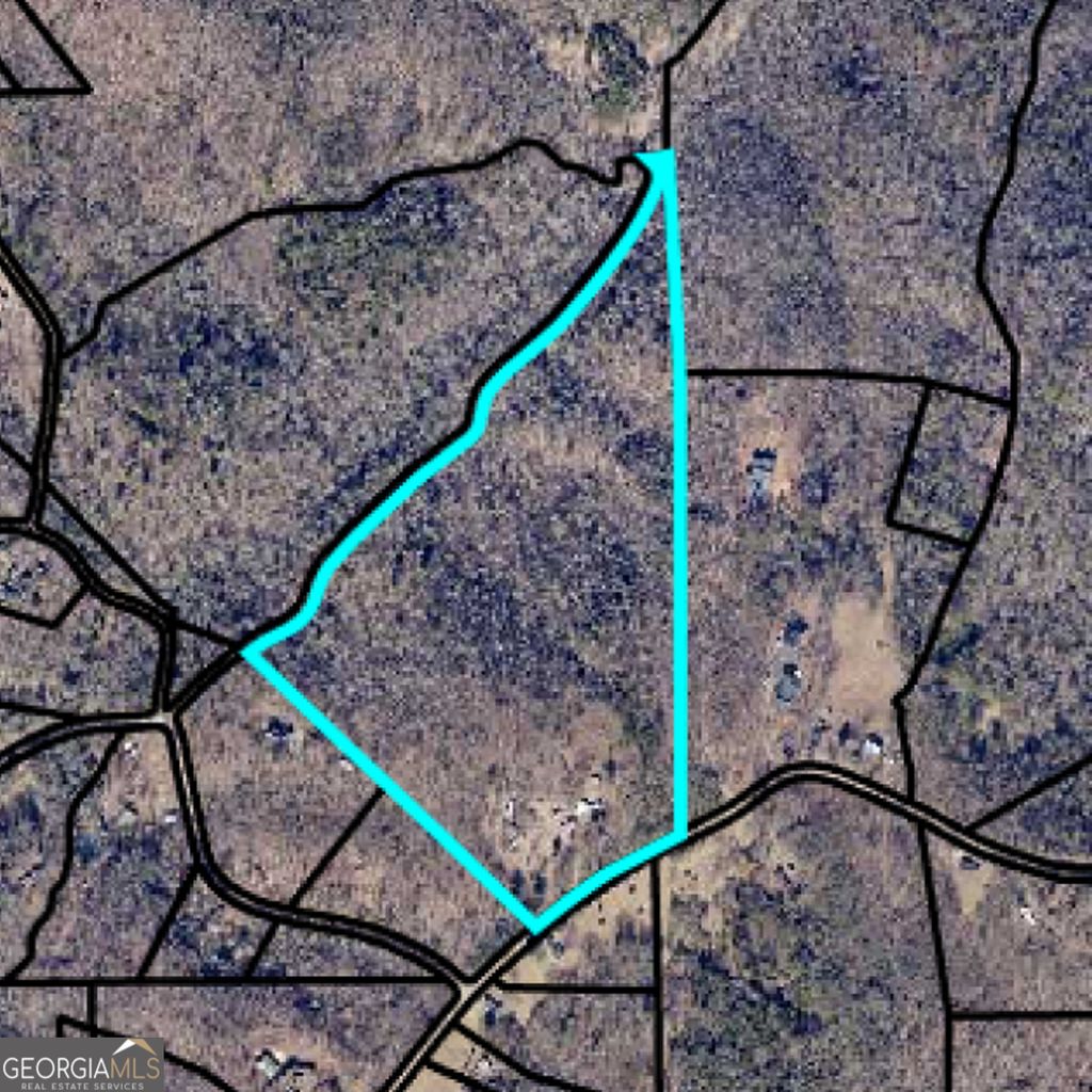 Photo of 46 Green Kirby Lane, Blue Ridge, GA 30513 (MLS # 10742434)