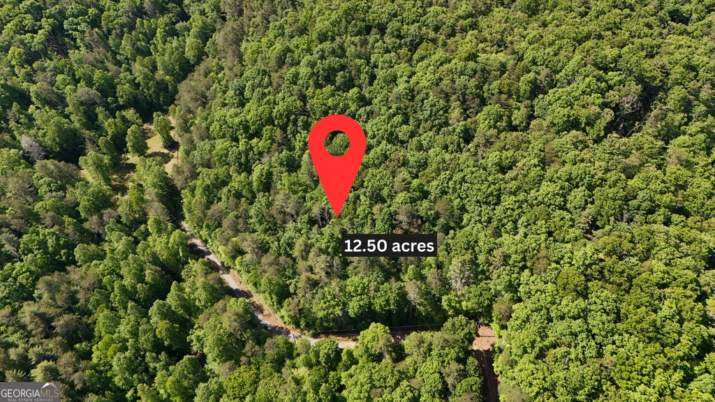 Photo of 0 Gold Springs Road, Cherry Log, GA 30522 (MLS # 10812667)