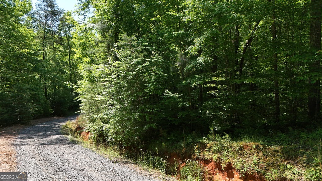 Photo of 0 Gold Springs Road, Cherry Log, GA 30522 (MLS # 10812667)