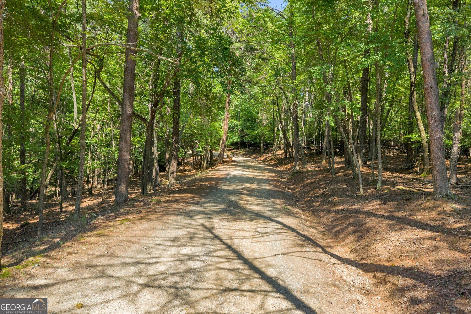 6409 Lights Ferry RD