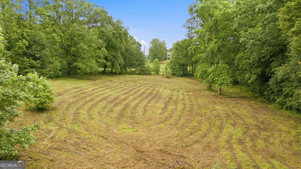 Photo of 2218 J Warren Road, Cornelia, GA 30531 (MLS # 10791497)