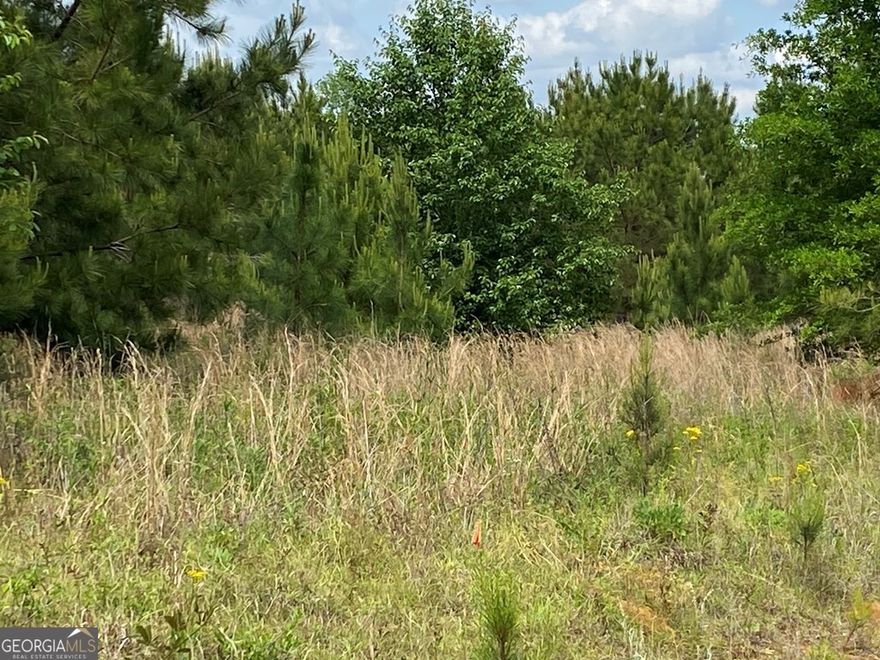 One of few non-restricted lots found in Laurens County Georgia. The land is located in a very desirable areas of the county and located also near I16 Interstate and HWY 19 South for those who travel east and west. There is also an addition 8.04 ac located just across the street if more land is needed. This is a great opportunity for those who might need more land for future buildings and improvements.