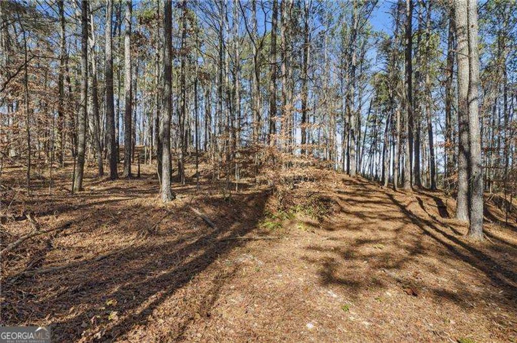 Photo of 428 Cedarcrest Road, Dallas, GA 30132 (MLS # 10658866)