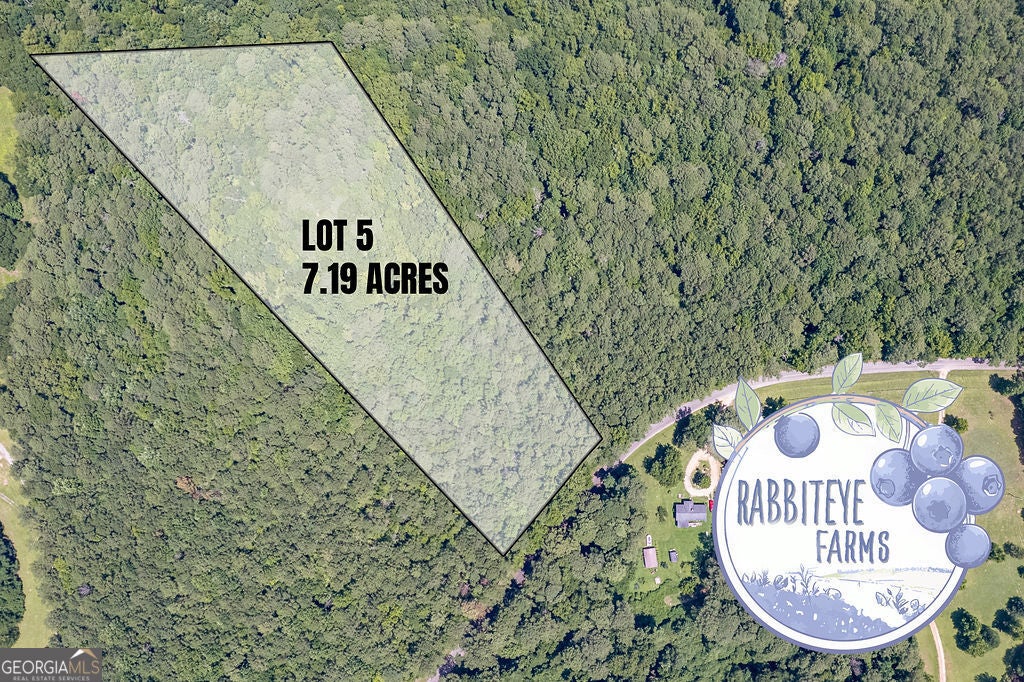 LOT 5 Haynes RD