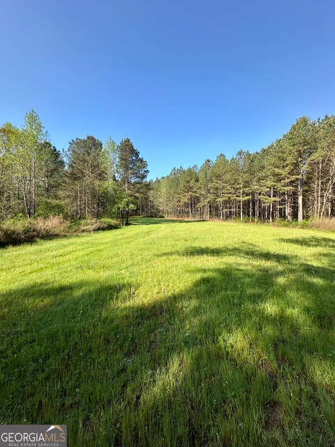 Photo of 0 J.W. Dunn Road, Warm Springs, GA 31830 (MLS # 10770071)