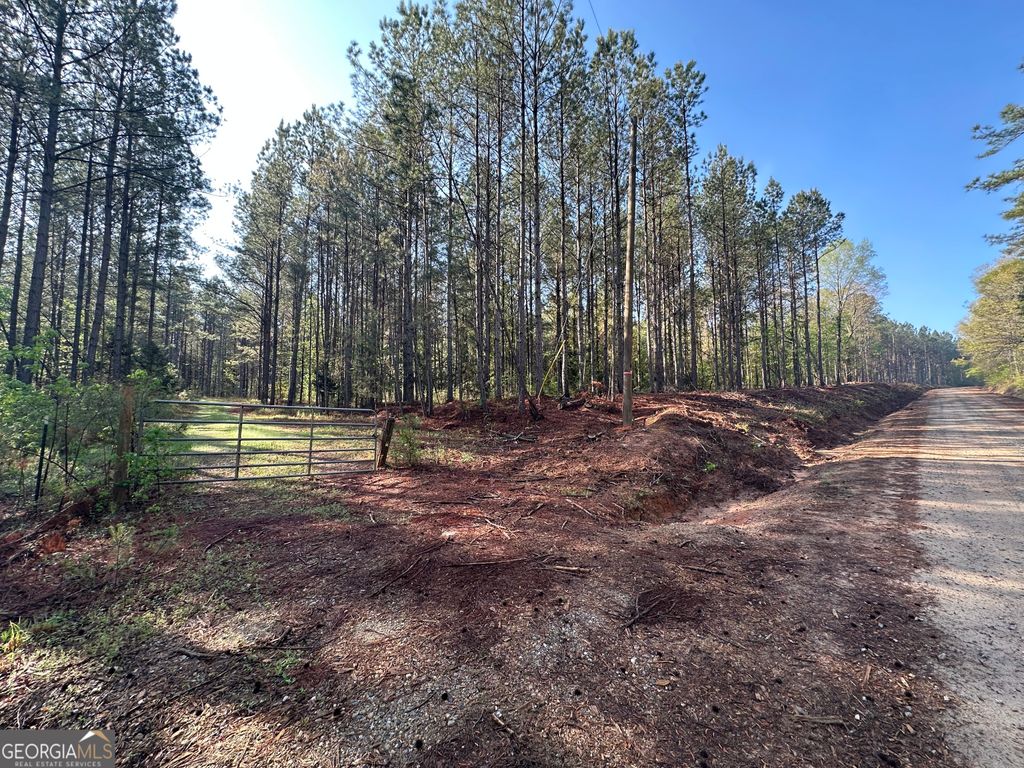 Photo of 0 J.W. Dunn Road, Warm Springs, GA 31830 (MLS # 10770071)
